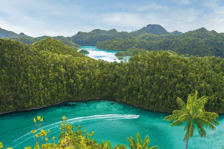 Read more about the article Discovering Indonesia’s Raja Ampat archipelago.