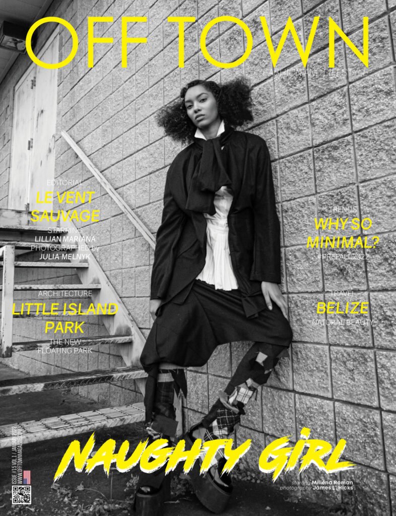 Read more about the article Cover Story #15 By James L Hicks