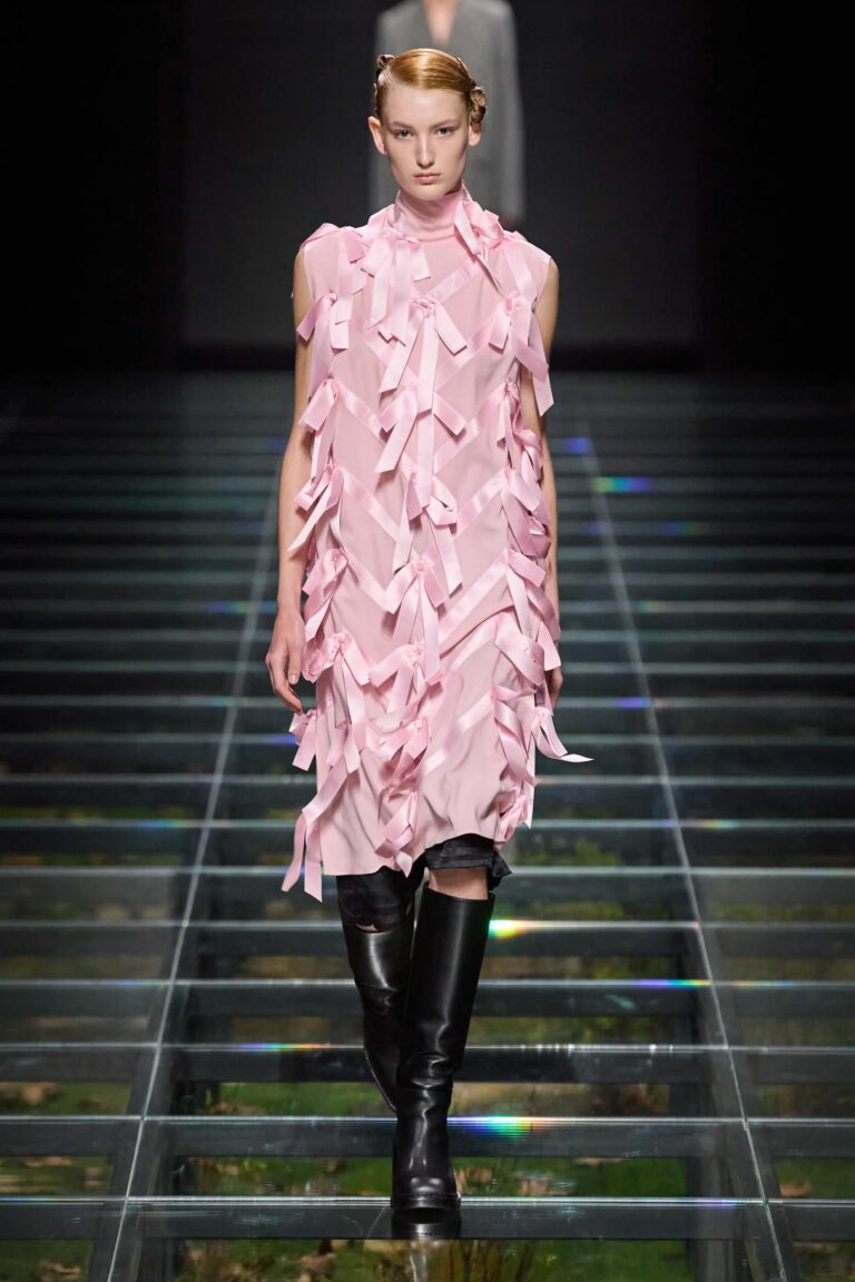 Read more about the article Prada Fall ’24 by Miuccia Prada and Raf Simons