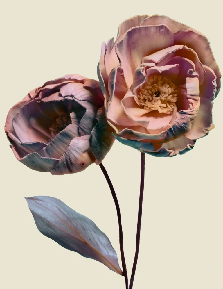 Read more about the article Colour Theory